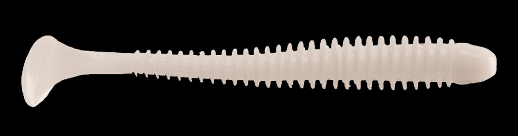 4560262604829