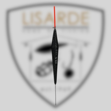 9780201380828