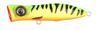 Ftp 2 24 iri pop 20