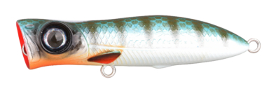 Ftp 2 24 iri pop 50