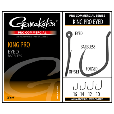 Ftp 2 24 pro c kin pro eye 10