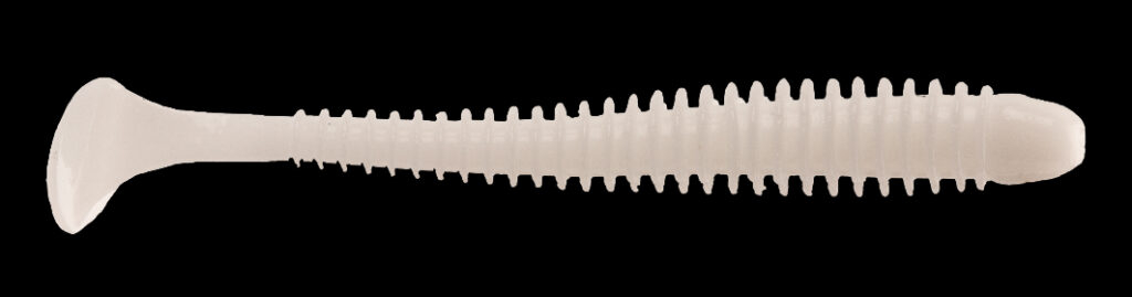 4560262604829