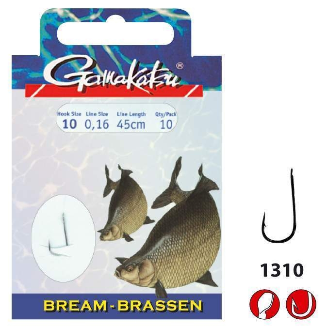 Ftp 1 140115 bream 1310br 1