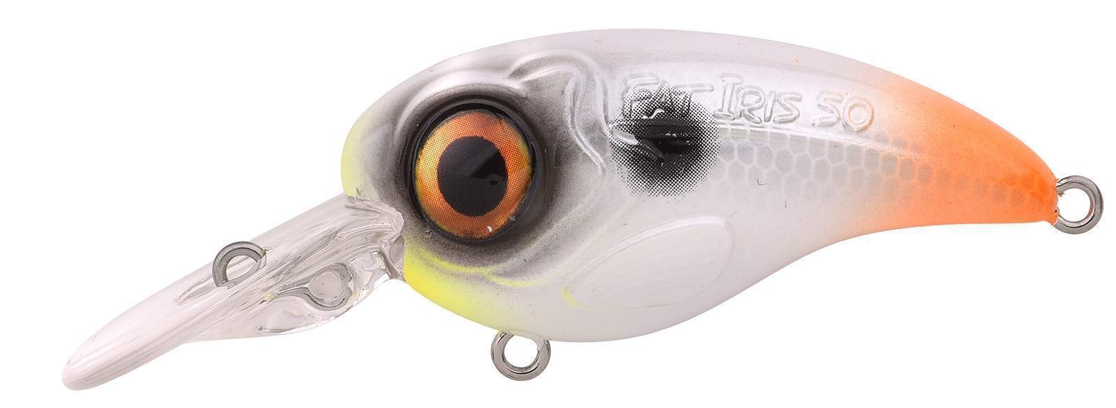 Ftp 2 2021 fat iri 50 dr 100