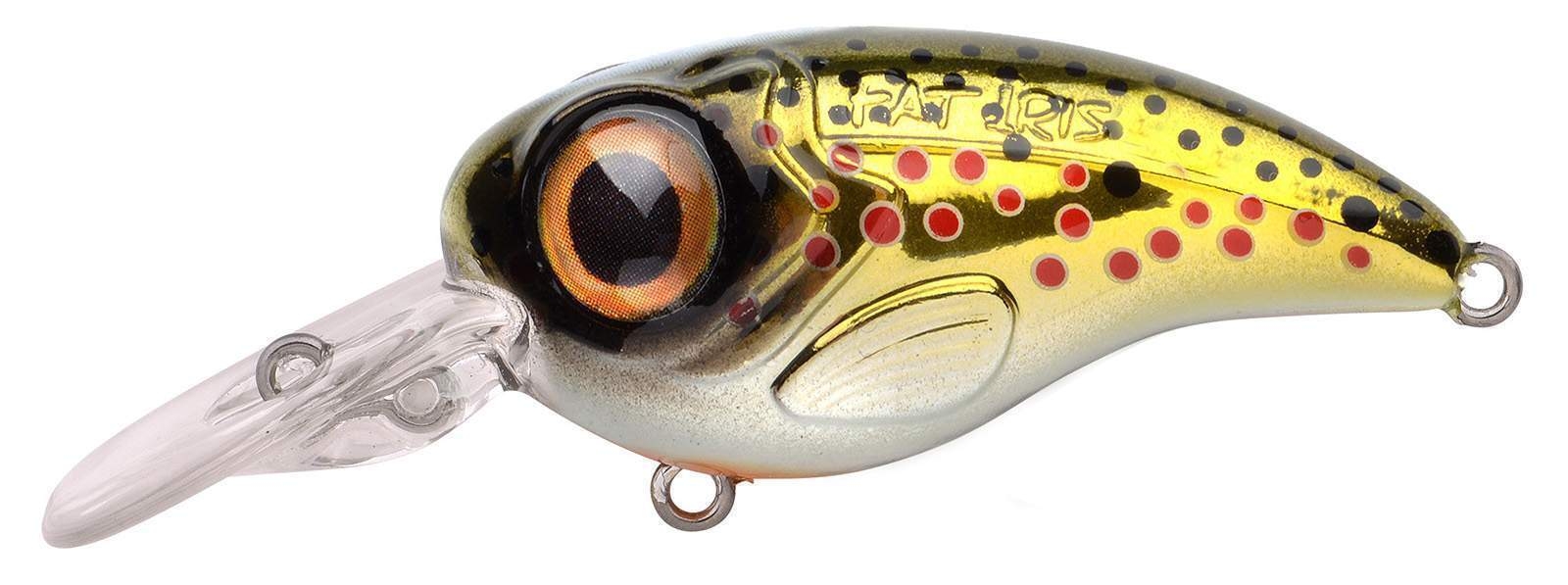 Ftp 2 2021 fat iri 50 dr 110