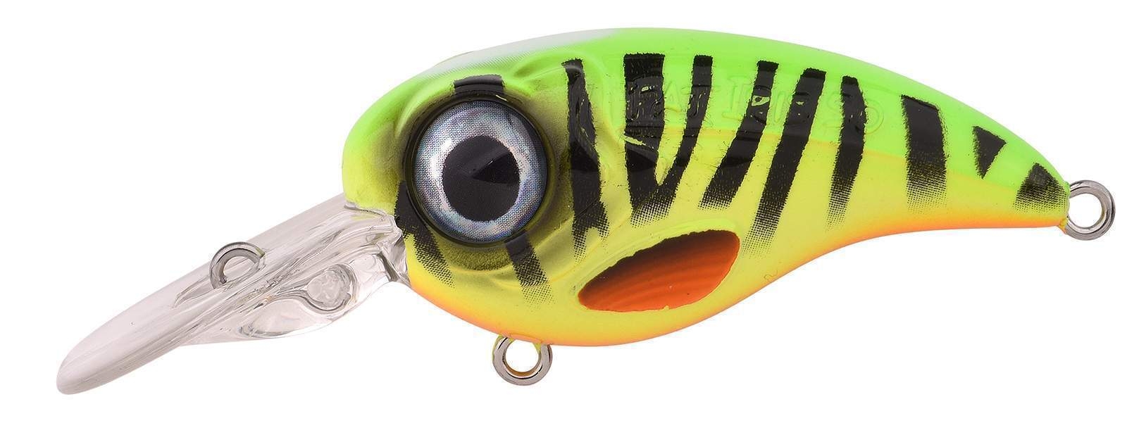 Ftp 2 2021 fat iri 50 dr 30