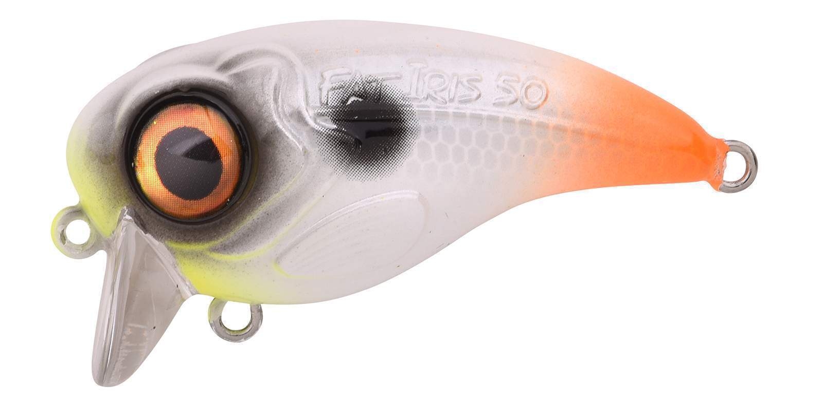 Ftp 2 2021 fat iri 50 100