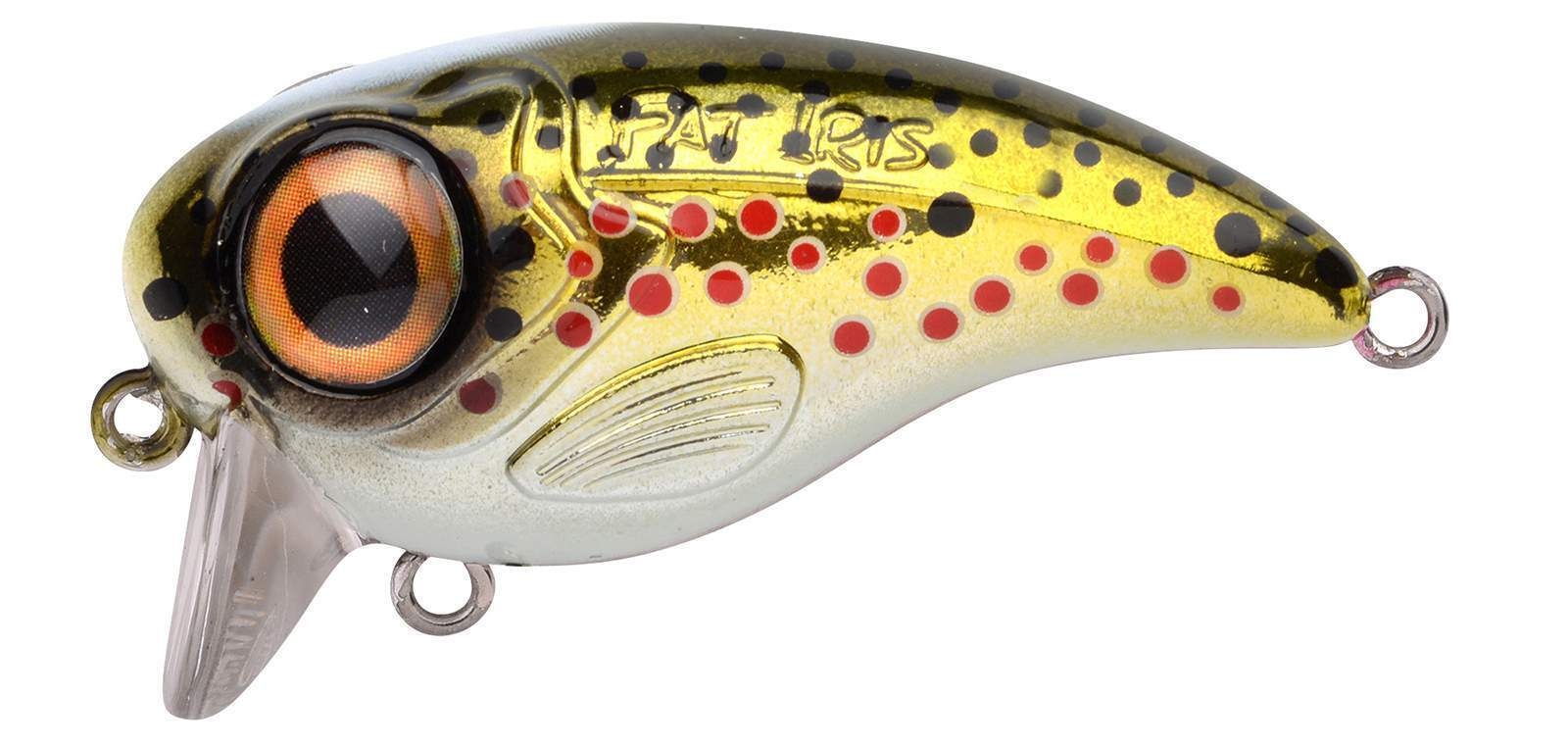 Ftp 2 2021 fat iri 50 110