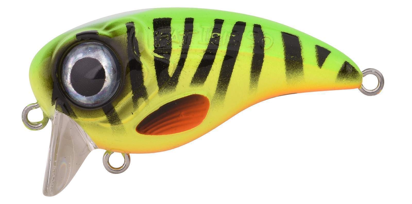 Ftp 2 2021 fat iri 50 30