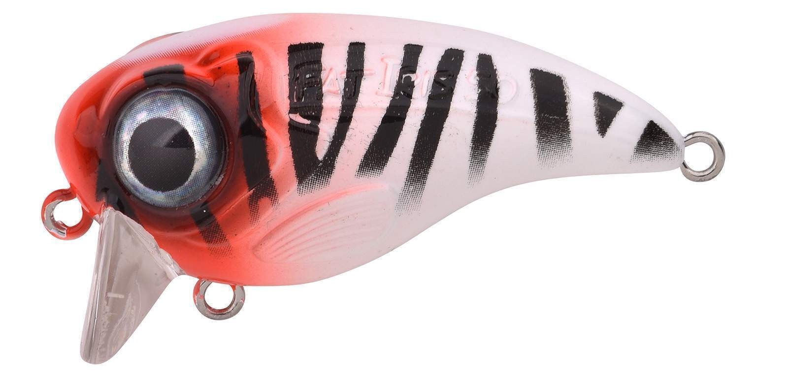 Ftp 2 2021 fat iri 50 40