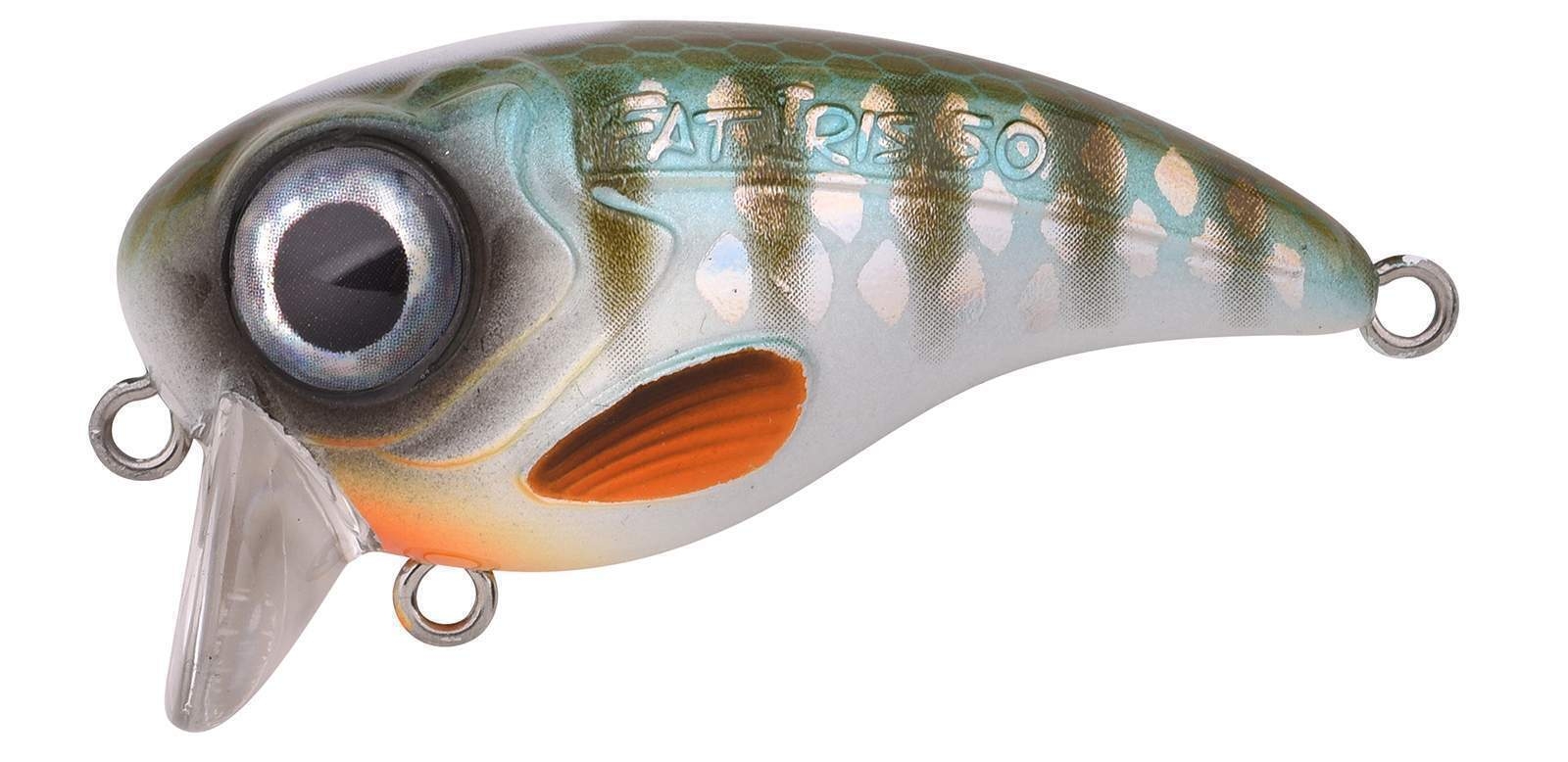 Ftp 2 2021 fat iri 50 80