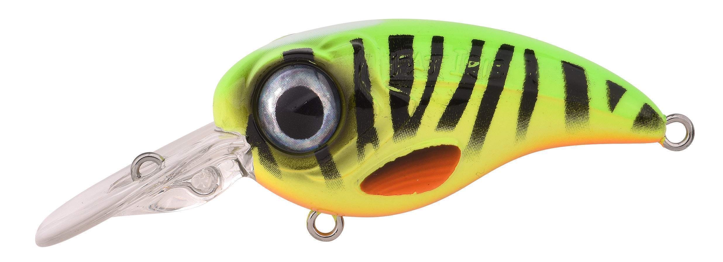 Ftp 2 23 fat iri cr 20