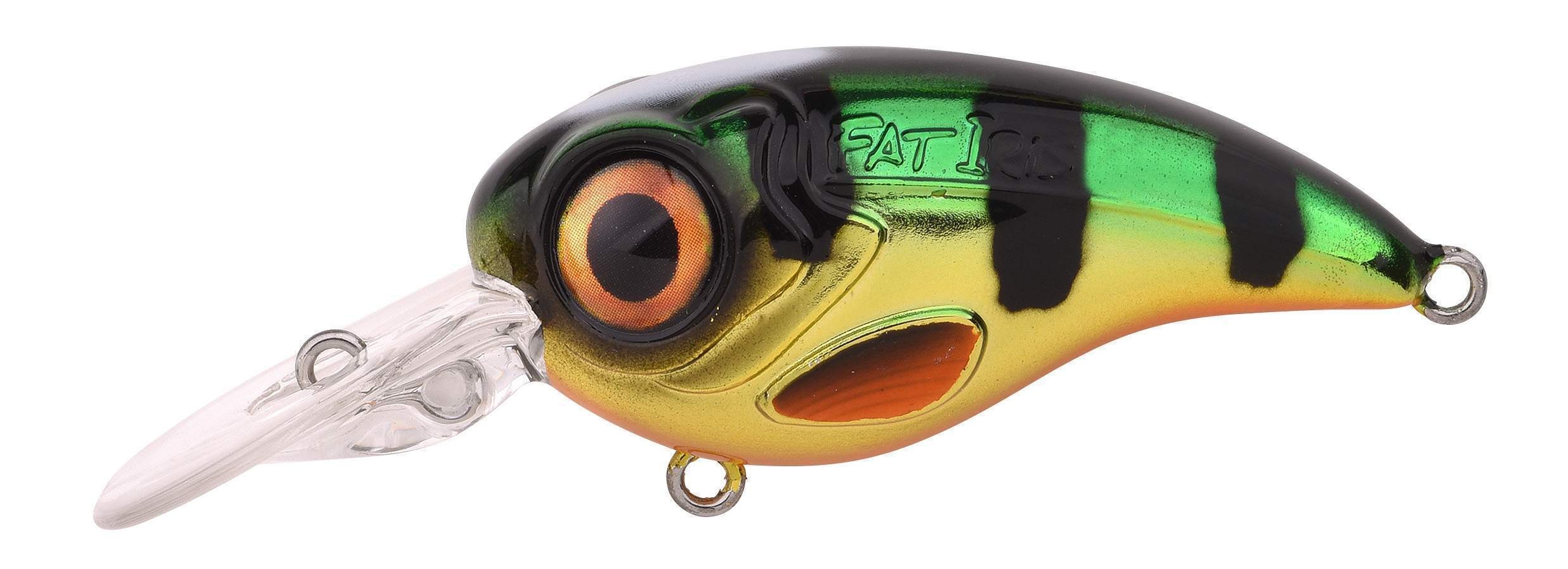 Ftp 2 23 fat iri cr 50