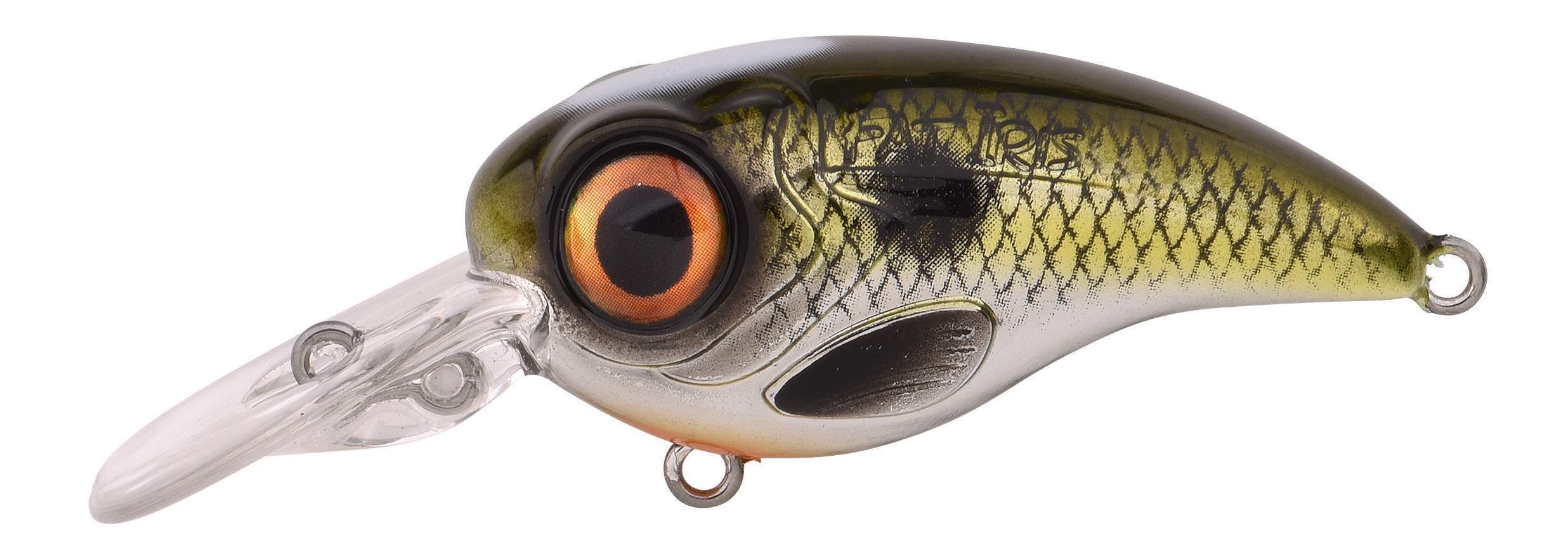 Ftp 2 23 fat iri cr 60
