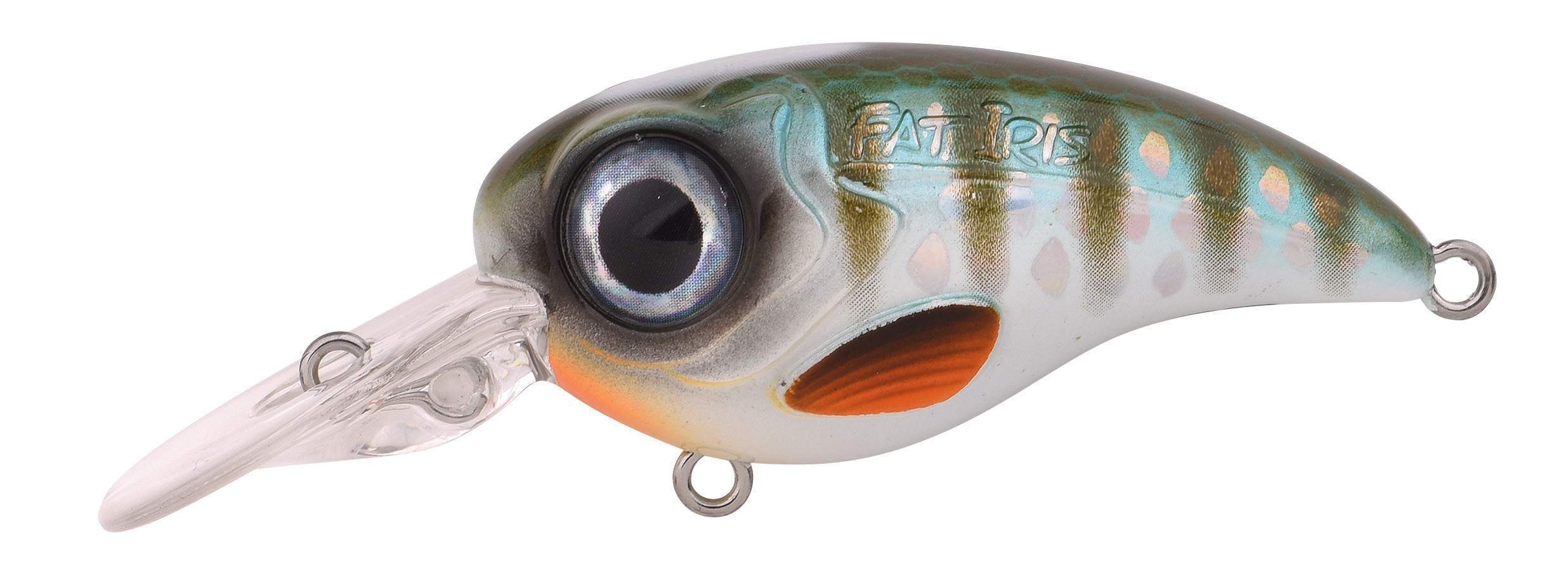 Ftp 2 23 fat iri cr 70