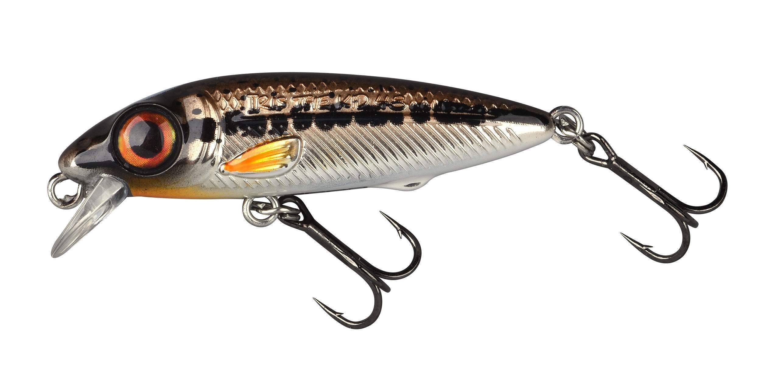 Ftp 2 23 iri kid 120