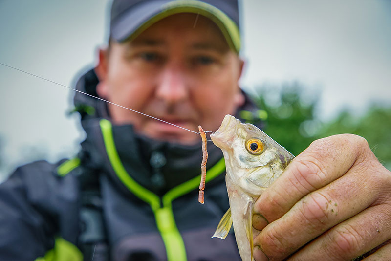 Mxb2 hooks in use 100