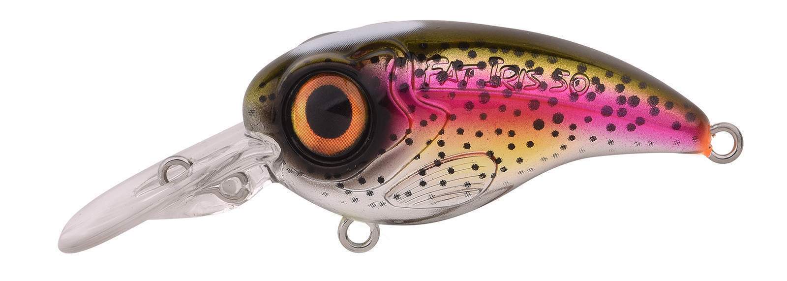 Ftp 2 2021 fat iri 50 dr 120