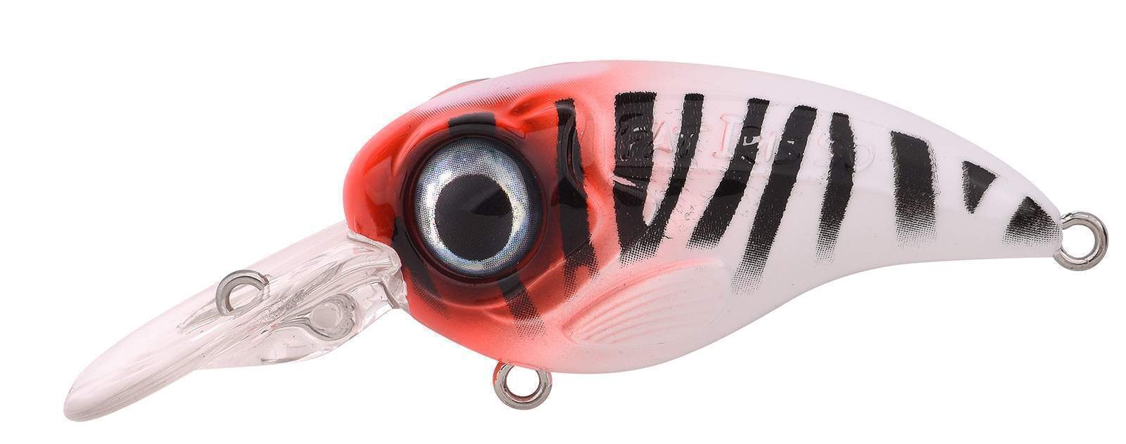 Ftp 2 2021 fat iri 50 dr 40