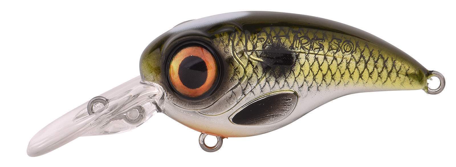 Ftp 2 2021 fat iri 50 dr 70