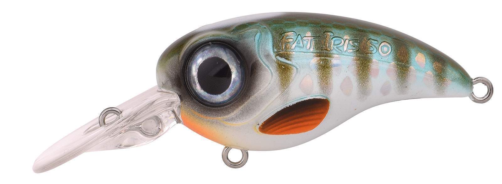 Ftp 2 2021 fat iri 50 dr 80