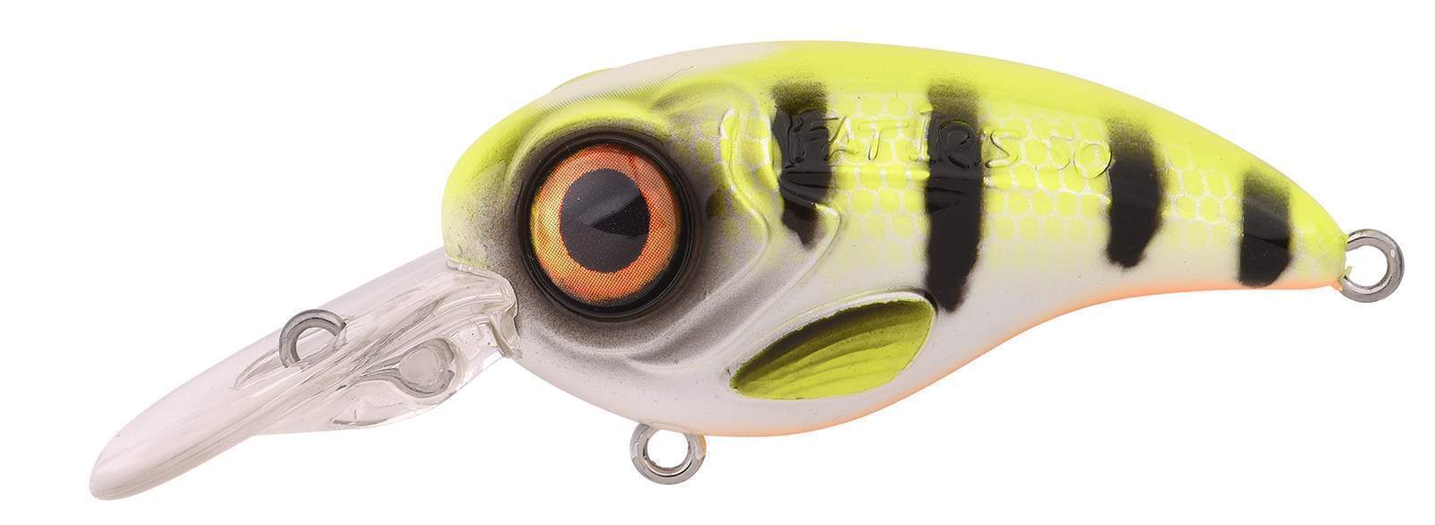 Ftp 2 2021 fat iri 50 dr 90