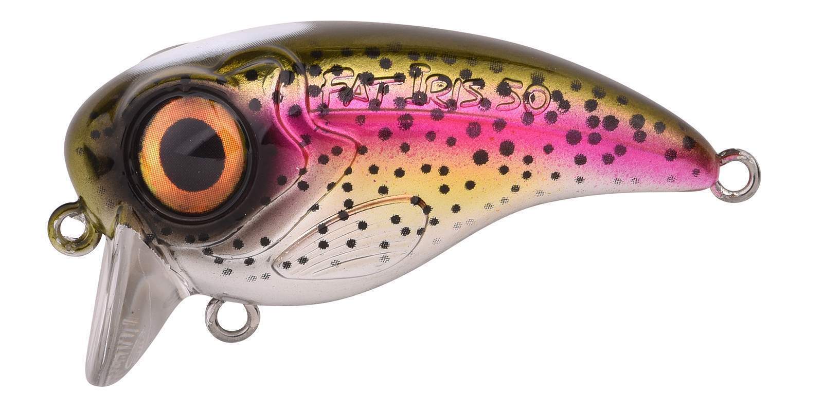 Ftp 2 2021 fat iri 50 120