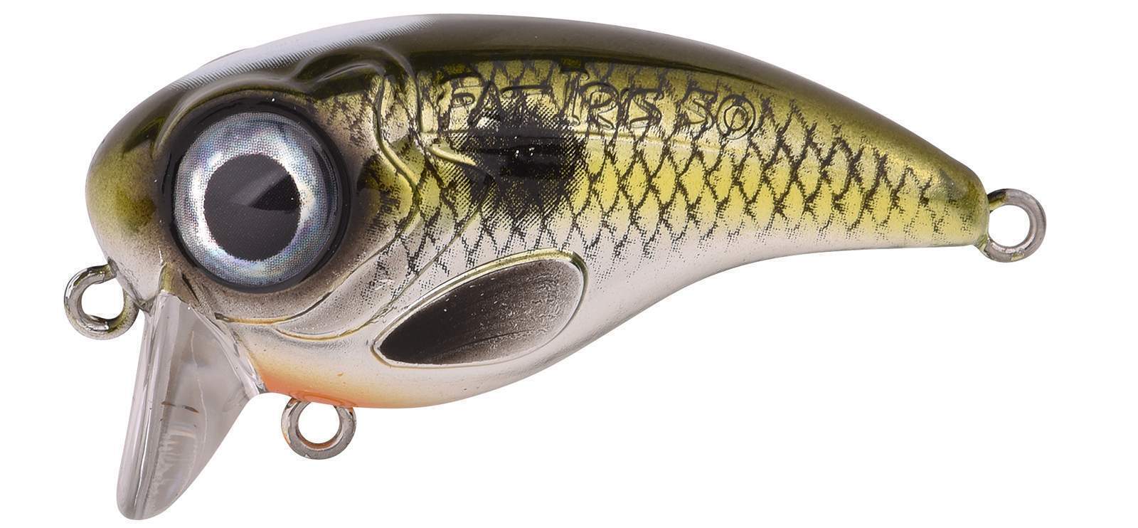 Ftp 2 2021 fat iri 50 70