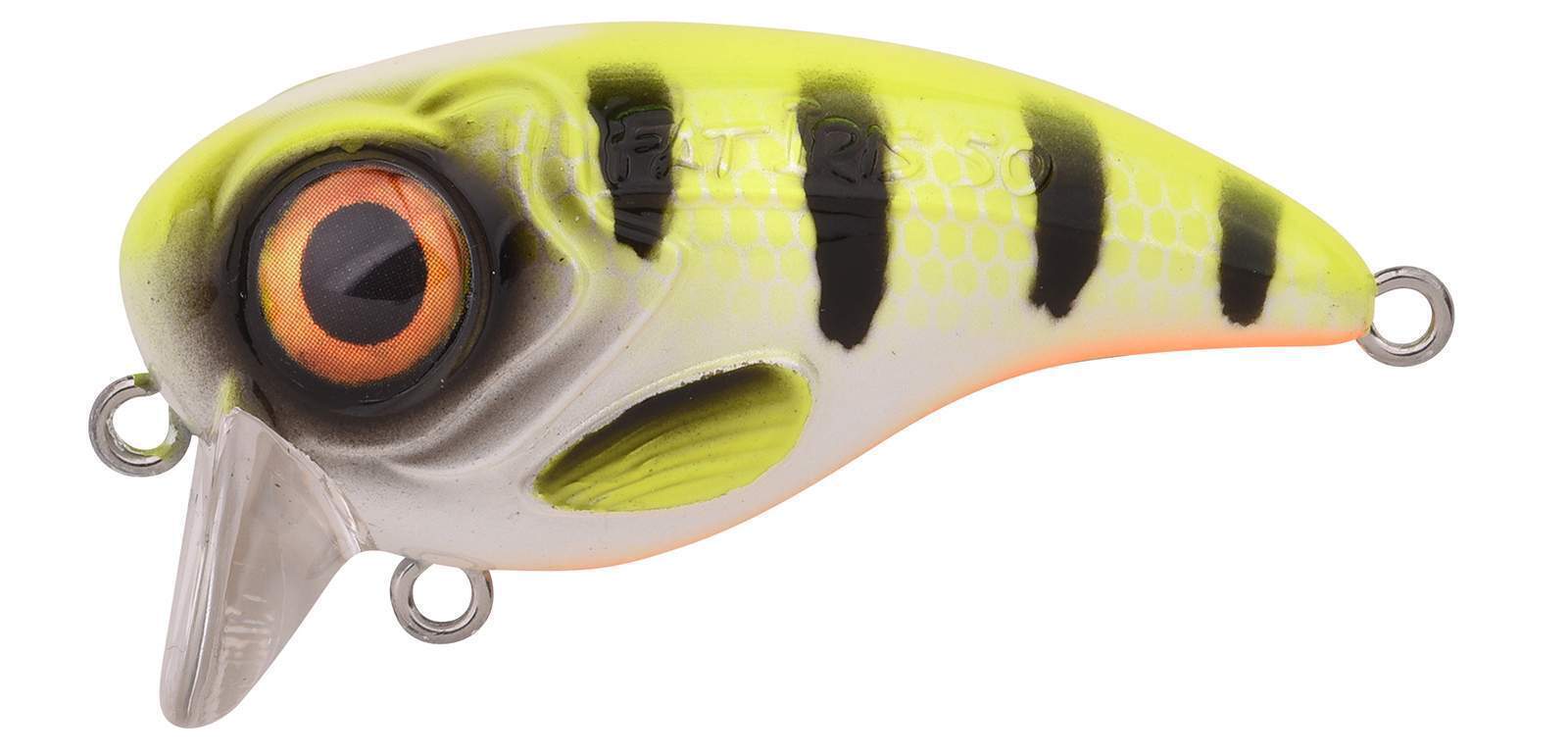 Ftp 2 2021 fat iri 50 90