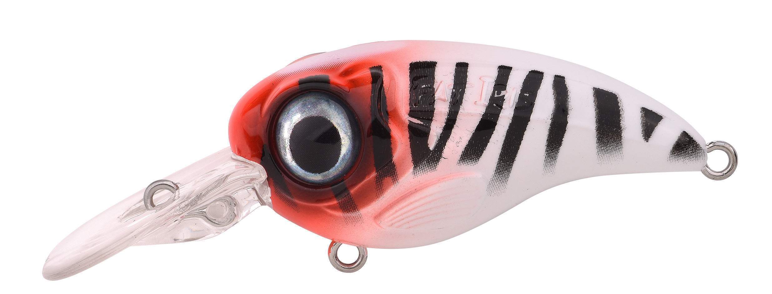 Ftp 2 23 fat iri cr 30