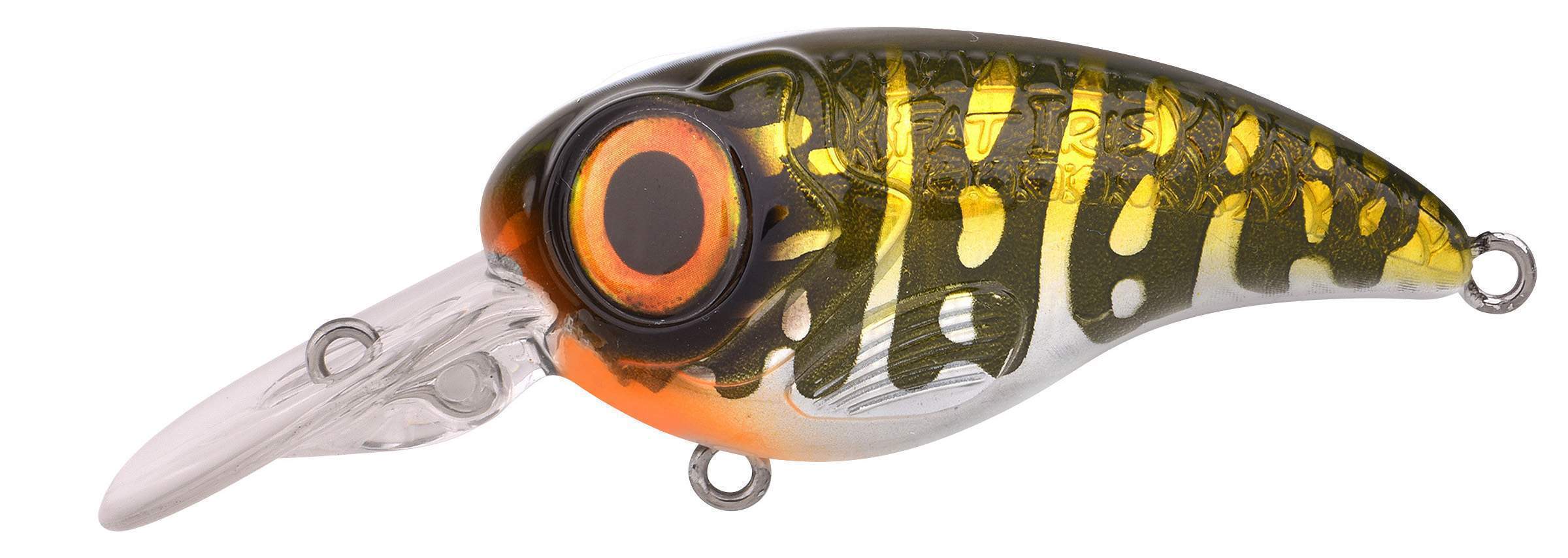 Ftp 2 23 fat iri cr 90